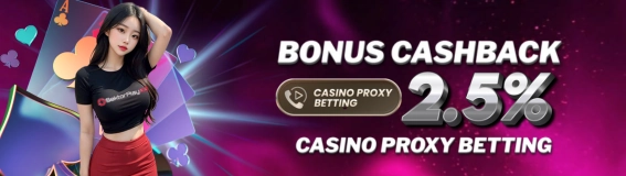 BONUS CASHBACK CASINO PROXY BETTING